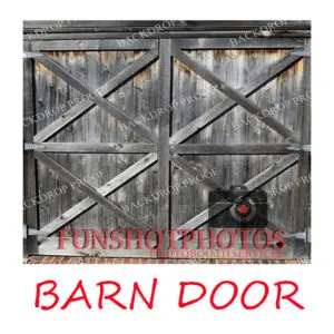 BARN DOOR