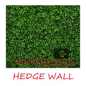 HEDGE WALL