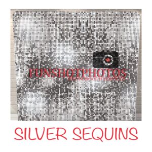 Silver Sequins