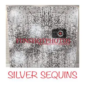 Silver Sequins